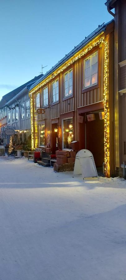 Fantgrenda Overnatting Apartamento Os (Hedmark) Exterior foto