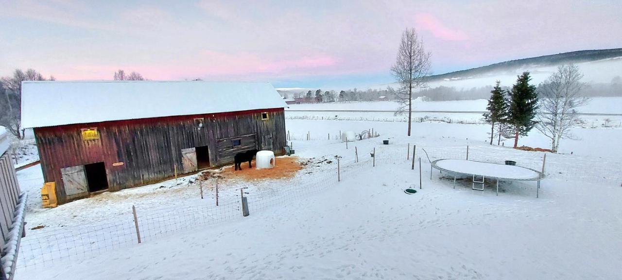 Fantgrenda Overnatting Apartamento Os (Hedmark) Exterior foto
